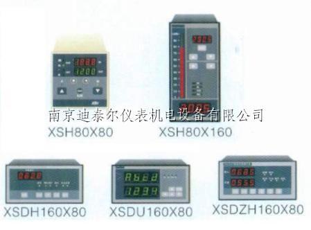 XSJ/XSJDLϵ�л����Ǳ�