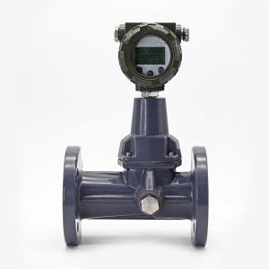智能旋进漩涡流量计 温度压力补偿 DN25-DN200,1.6Mpa 1.5%流量计