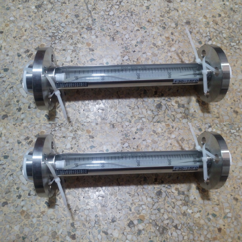 FA30F-15全不锈钢衬四氟玻璃转子流量计,DN15活动法兰,总长310mm