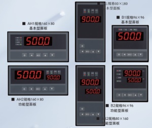 DTR900N智能计数器 单相或双相正交脉冲输入 8位或5位LED显示仪