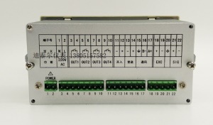 XSB5力值显示控制仪,报警 变送 通讯功能 160*84显示仪