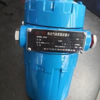 热式气体质量流量计DTRS，不锈钢气体质量流量计